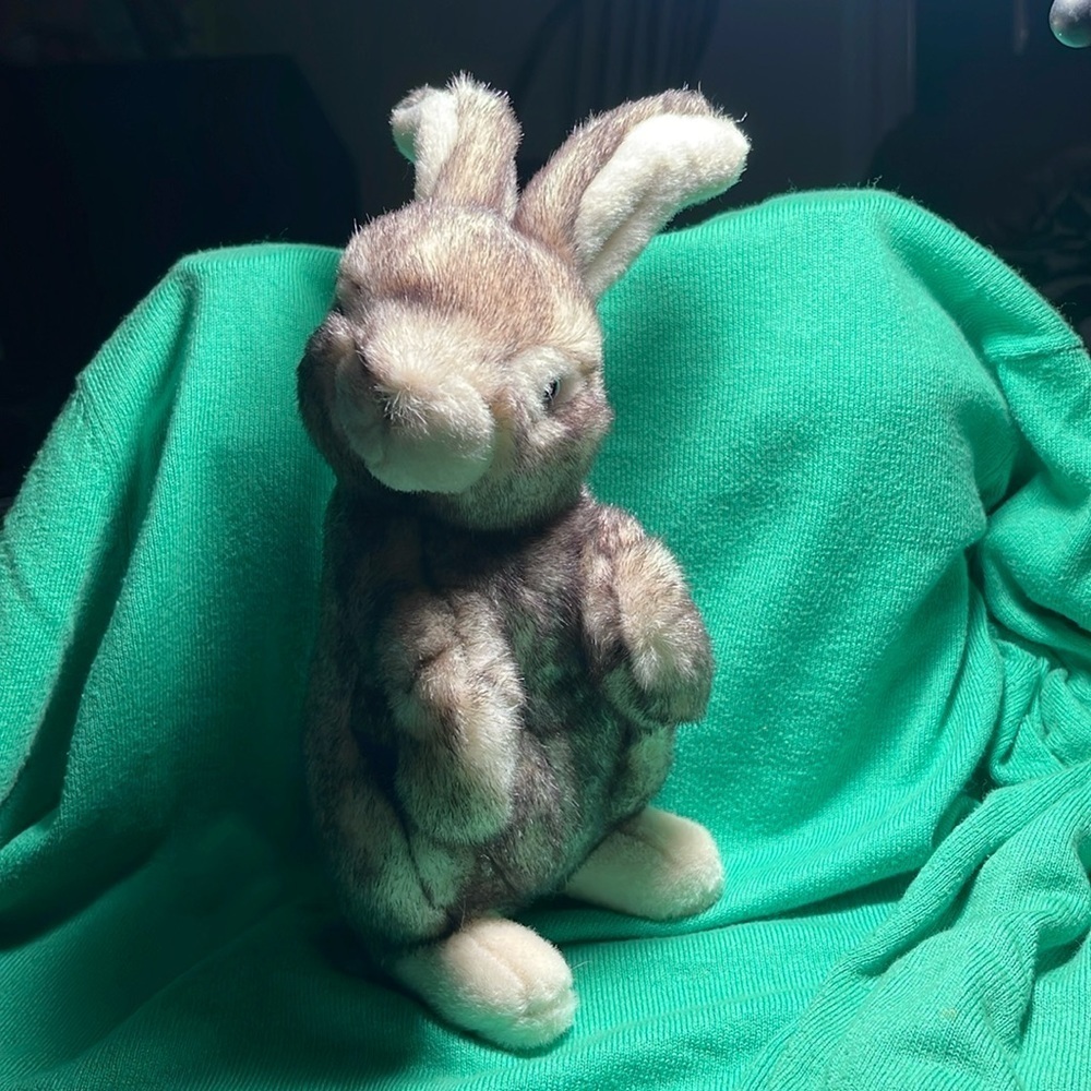 Mary Meyer 11” Bunny Rabbit 2000